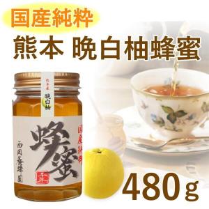 はちみつ 国産 純粋 100％ 熊本 晩白柚みかん 480g 甘味料パンケーキ紅茶