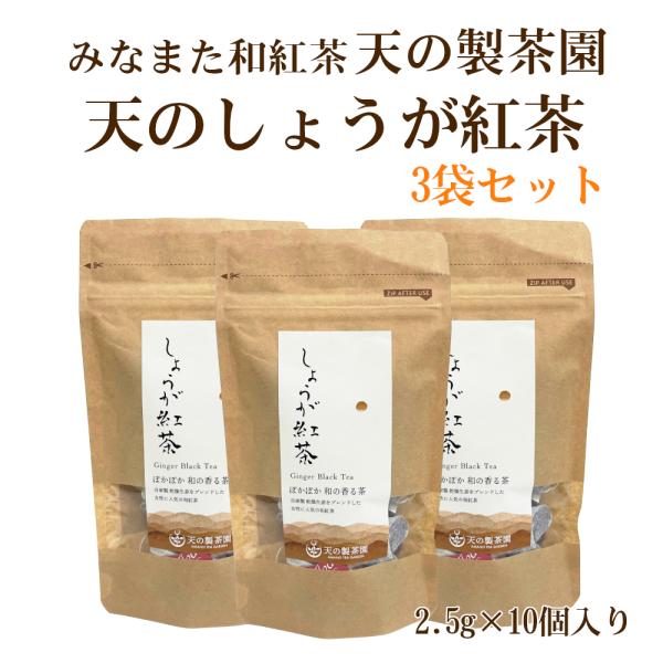 紅茶 みなまた和紅茶 天のしょうが紅茶TB ティーバッグ (2.5g 10個)x3袋セット 天の製茶...