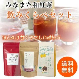 和紅茶 みなまた和紅茶 飲みくらべ 3種 ティーバッグ 送料無料 天の製茶園 お茶の坂口園 レモンティー