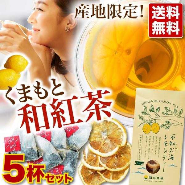 紅茶 レモンティーセット ティーバッグ 送料無料 国産 熊本産
