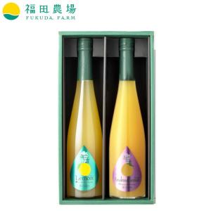 シロップ 割り材 3本セット 希釈タイプ 500ml 送料無料 甘夏 日向夏 晩