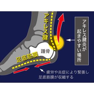 アキレス腱保護サポーターEX 大事な踵を覆い適...の詳細画像3