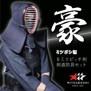ミツボシ 剣道 防具 6ミリ 豪ごう ピッチ織刺 セット (セーフティ