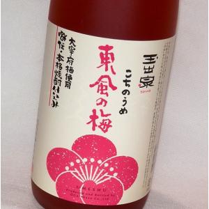 秘蔵古酒 げってん 360ml 旭酒造 耶馬美人 米焼酎 40度 [お取り寄せ