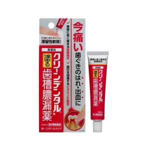 （第3類医薬品）（メール便送料無料）クリーンデンタルＮ　16ｇ｜fukuei