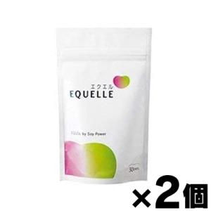 （メール便送料無料）大塚製薬 エクエル  パウチ 120粒入り×2個　