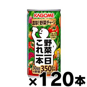 （送料無料！） 120缶入り カゴメ　野菜一日これ一本　190g  4ケース （本ページ以外の同時注...