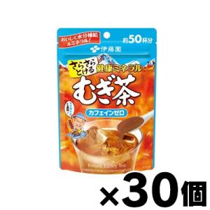 （送料無料！） 伊藤園 さらさらとける 健康ミネラルむぎ茶 40g×30個