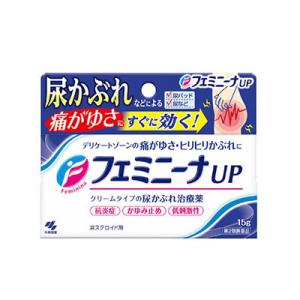 （第2類医薬品）（メール便送料無料）(税制対象)小林製薬 フェミニーナUP 15g