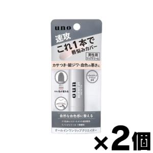 （メール便送料無料）ウーノ オールインワンリップクリエイター f 2.2g×２個セット　