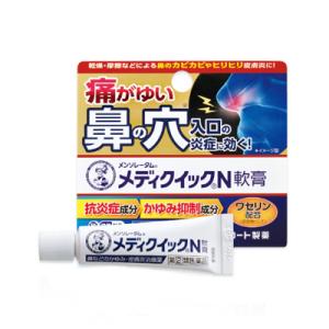 （第(2)類医薬品）（メール便送料無料）(税制対象)メディクイックN軟膏 6g 4987241189...