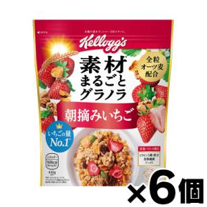 （送料無料!） 素材まるごとグラノラ 朝摘みいちご 430g×6個