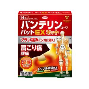 （第2類医薬品）（メール便送料無料）(税制対象)バンテリンコーワパットEXホット 14枚｜fukuei