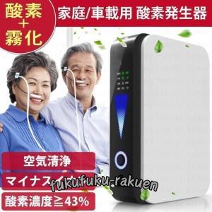 日本製・酸素発生器VIGO(ビーゴ) PSA-3000 スーツケース型キャスター