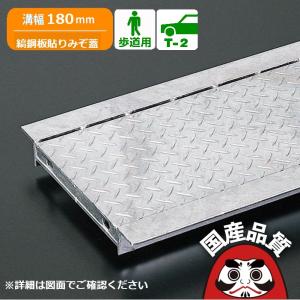 ダイクレ U字溝グレーチング 溝幅180用 並目(Dグリップ) T-2・6・14