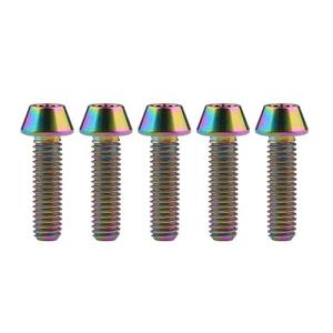 Ruifu M4 x8 15 20mm チタン合金六角穴付ボルト 5個入り