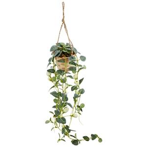 エルアーツ 造花 クリーム 全長53cm プチローズハンギングバスケット E4623-12