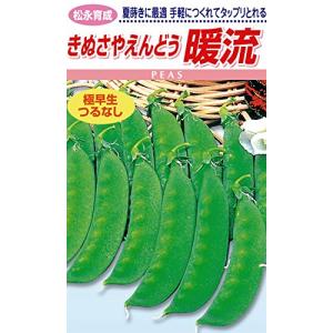 松永種苗 松永育成 きぬさやえんどう 暖流  小袋20ml