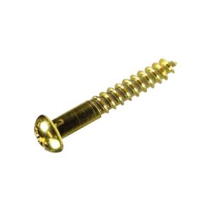 パーツハウス 木ねじ 丸頭 真鍮 太さ3.8mm 長さ32mm 中身入数25本 HP1048