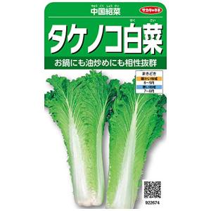 サカタのタネ 実咲野菜2674 中国紹菜 タケノコ白菜