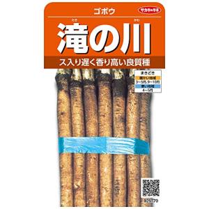 サカタのタネ 実咲野菜5770 滝の川 ゴボウ 00925770