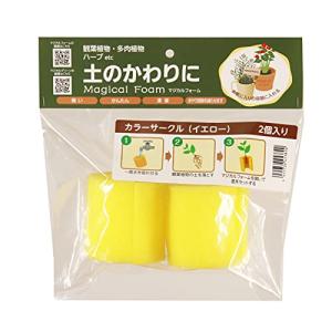 トヨチュー マジカルフォーム カラーサークル 2個入