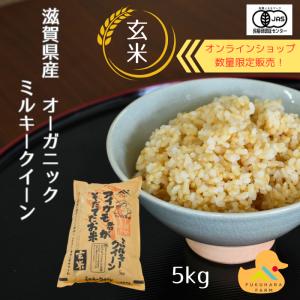 【fruit farm 様】専用　令和５年産新米ミルキークイーン玄米24kg ミルキークイーン 特別栽培米 5キロ 玄米 令和7年産 フクハラファーム