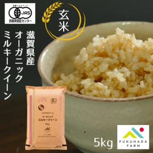 ミルキークイーン 特別栽培米 5キロ 白米 令和7年産 フクハラファーム