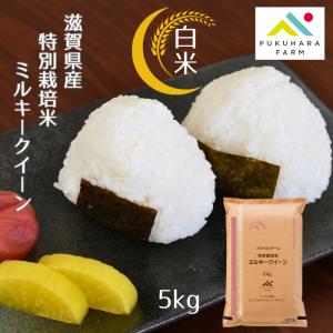 ミルキークイーン 特別栽培米 5キロ 白米 令和7年産 フクハラファーム 滋賀県 彦根 国産100％