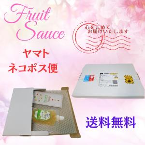 送料無料 【オール福島フルーツソースキウイ】 ...の詳細画像1