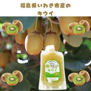 送料無料 【オール福島フルーツソースキウイ】 ...の詳細画像4