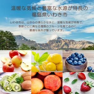 送料無料 【オール福島フルーツソースキウイ】 ...の詳細画像5