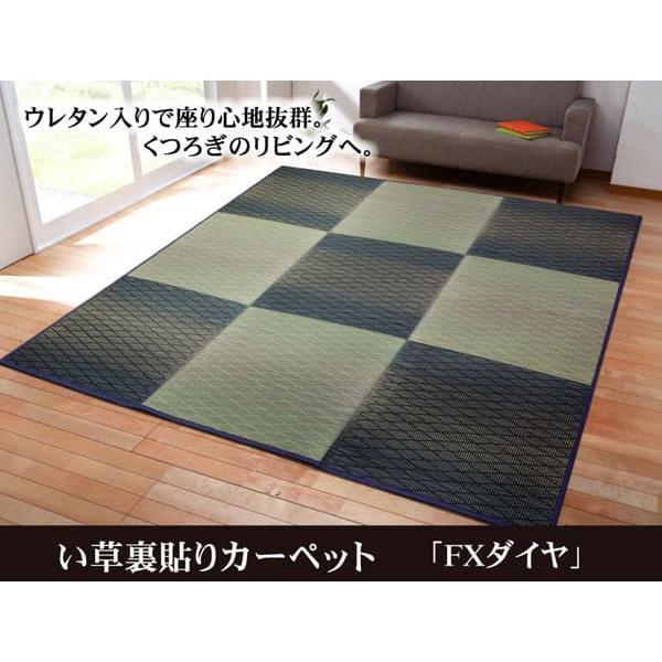 ＊FXダイヤ 製品 大判長方形 BL 240X320　1030540043204