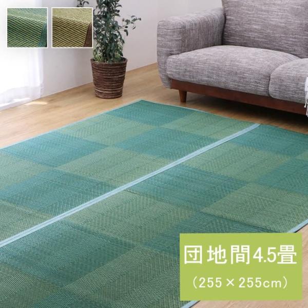 *NDXルネ 団地間4.5畳 製品 BL 255X255　1031290041902