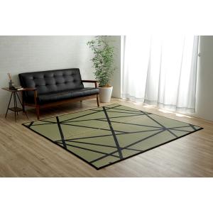 Fレヴィン 普通版長方形 製品 NA 191X250　1051480183904