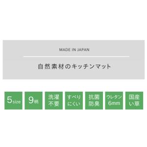 Fお花畑 製品 GY 60X270 10811...の詳細画像3