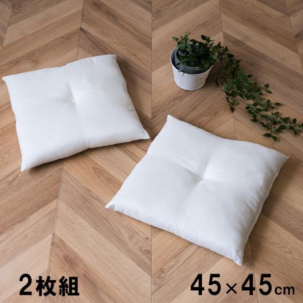 ヌード 2P シート IV 45X45　1210660140203