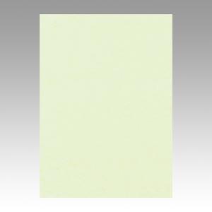 文具　71928　リンテック ニューカラー４切１００枚　メロン GO4NCR-133