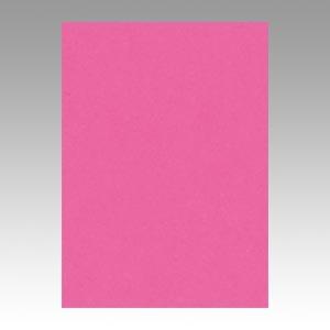 文具　71956　リンテック ニューカラー４切１００枚　こいもも GO4NCR-232