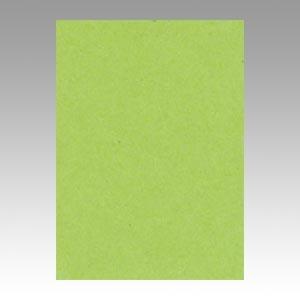 文具　71973　リンテック ニューカラー４切１００枚　きみどり GO4NCR-212