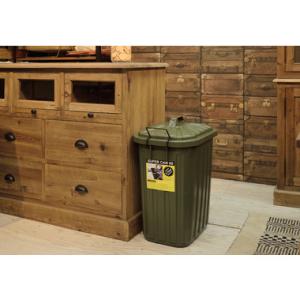 東谷　ペールカン 60L　LFS-937GR　W36×D55.4×H62.2　1.5kg　完成品