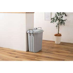 東谷　ペールカン 60L　LFS-937GY　W36×D55.4×H62.2　1.5kg　完成品