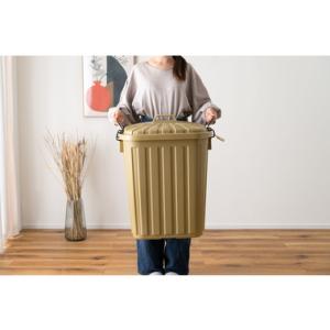 東谷　ペールカン 60L　LFS-937SBE　W36×D55.4×H62.2　1.5kg　完成品