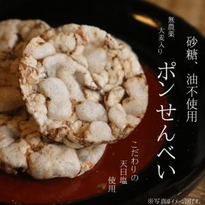 『麦童』大麦ポンせんべい｜fukui-koshino