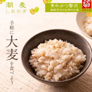 雑穀米700g 雑穀 お試し雑穀米 ご飯 元精穀 10穀米...