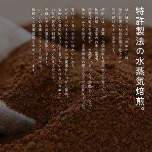 水蒸気焙煎米ぬかパウダー 100g ぼんぼちっ...の詳細画像2