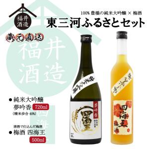 蔵元直送 日本酒 四海王 妥協しない究極の一本 大吟醸 『極』 720ml
