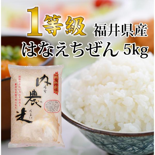 はなえちぜん 精米5キロ 送料無料 令和5年度産 新米 1等級 福井県産 令和 おいしいお米 ふるさ...