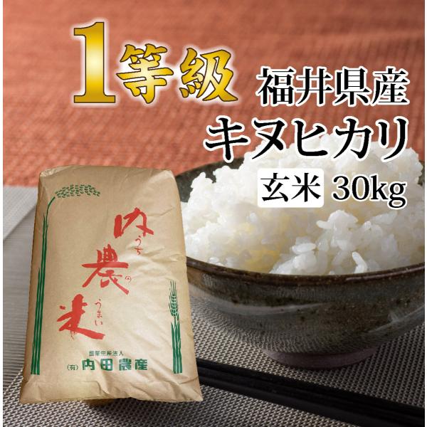 キヌヒカリ 玄米 30キロ 送料無料 令和5年度産 新米 1等級 福井県産 令和 おいしいお米 ふる...