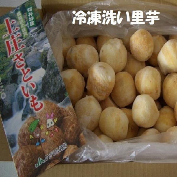 【冷凍】【業務用】＊福井県特産洗い里芋約秀品１０Ｋ箱 芋煮会・芋煮・煮物　冷凍里芋